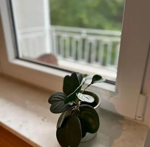 Appartement By The Water Gent