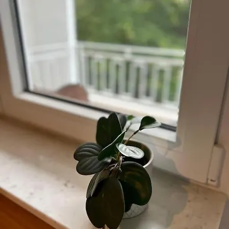 Apartmán By The Water Gent